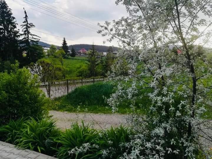 Pensiunea Valurile Bistritei Vatra Dornei Eksteriør bilde